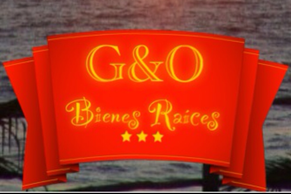 G&O BIENES RAICES